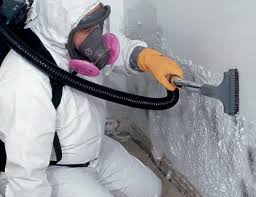 Mold Odor Removal Services in North Lakeville, MA